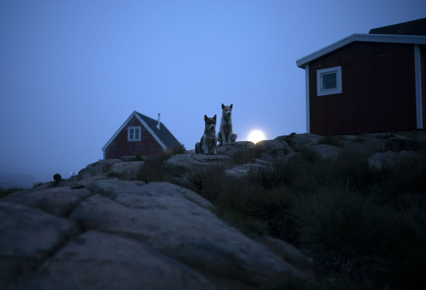 Greenland Glaciers